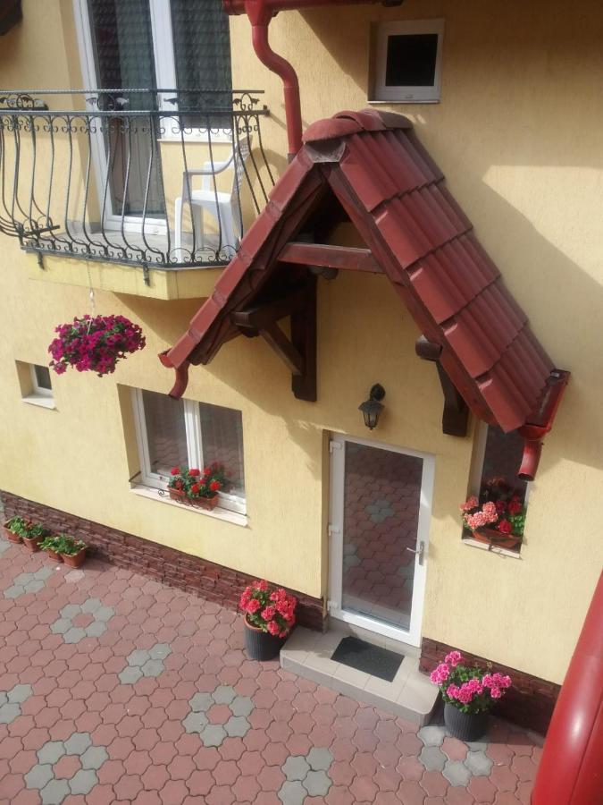 Pensiunea Magnolia Сибиу Экстерьер фото