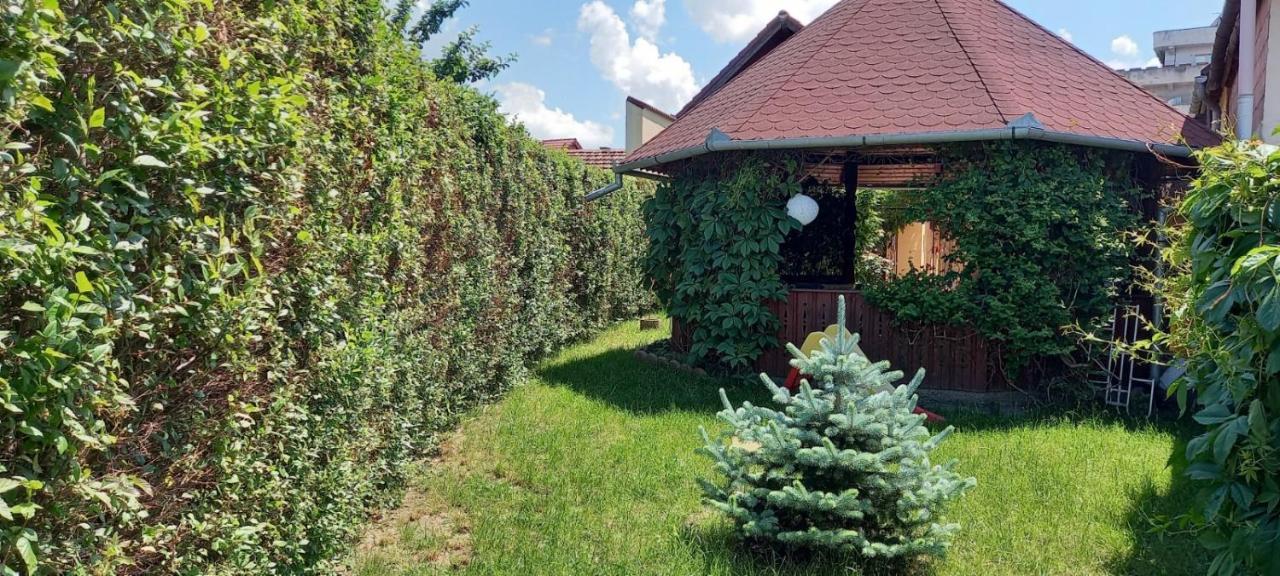 Pensiunea Magnolia Сибиу Экстерьер фото