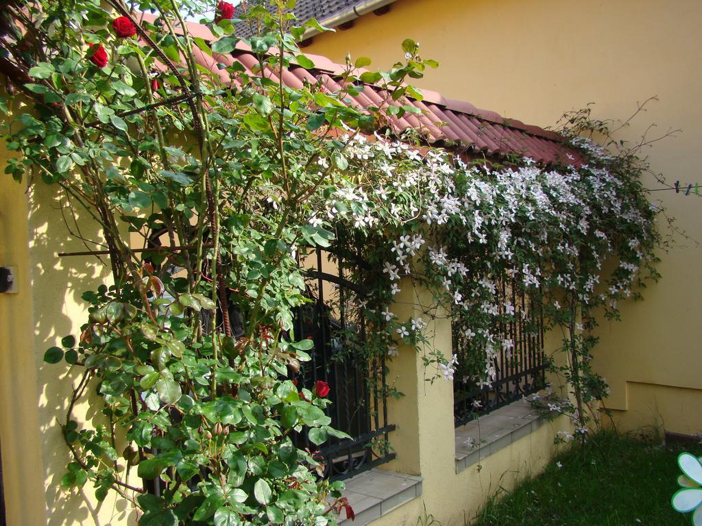 Pensiunea Magnolia Сибиу Экстерьер фото
